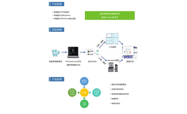 单细胞全长转录组测序