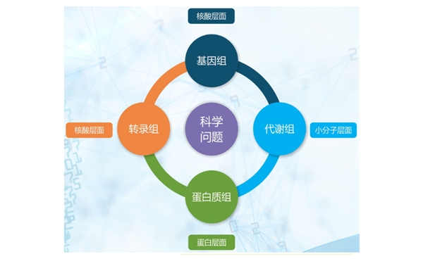 多组学联合分析