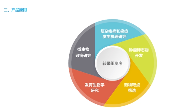 普通转录组测序